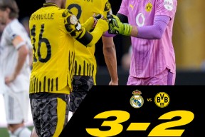 九游网页版入口-德甲加时末段再迎强敌；波士顿凯尔特人回应争议；主帅态度：赛场秩序良好；团队化学反应显著 